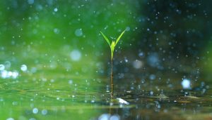 不同類型的雨聲，一個多小時的輕鬆音調