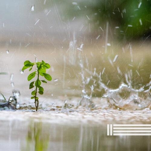 神奇的雨：用於睡眠、放鬆和消除不良想法的傾盆大雨音樂