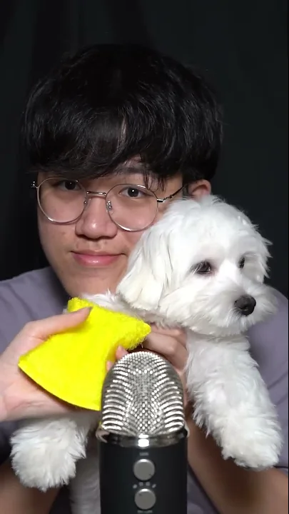 Giving My 4 Months Old Puppy ASMR