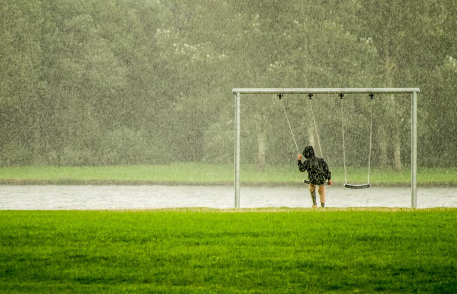 Tranquil Music Rain