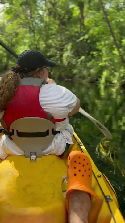 Kayaking with a manatee  #nature #asmr #florida