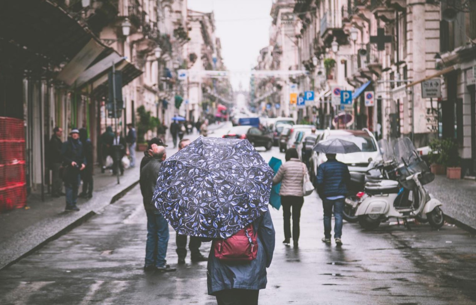 Wise Man Loves the Rain